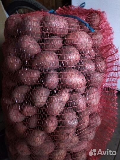 Продам картофель