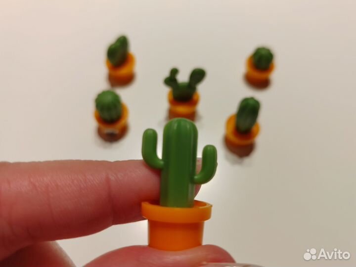 Набор магнитов Кактусы на холодильник и доску