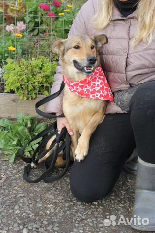 Мечтает о маме