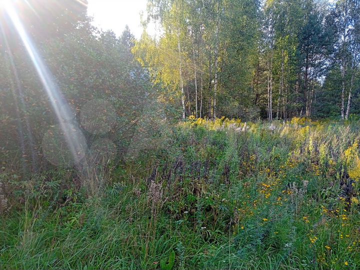 Участок 15 сот. (СНТ, ДНП)