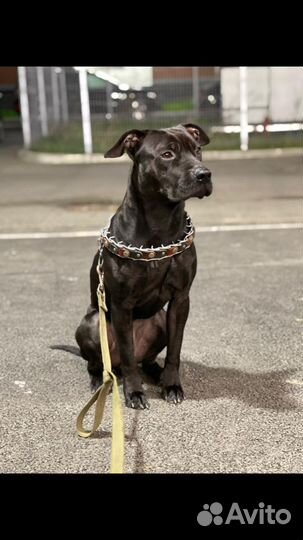 Ищем подругу