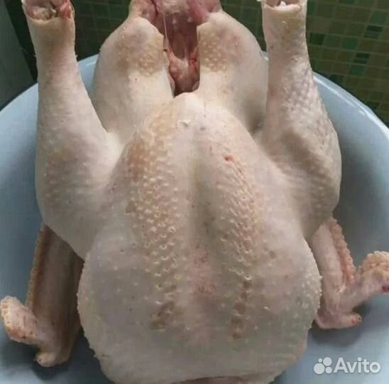 Мясо домашней индейки