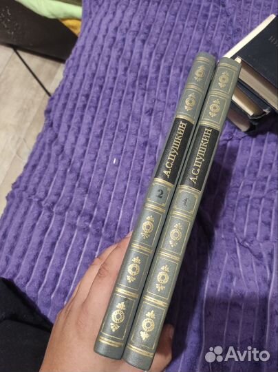 А.С. Пушкин собрание сочинений в 2х томах