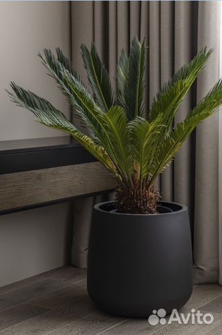 Маляр (подготовщик)