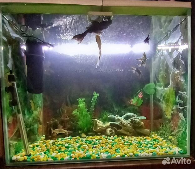 Аквариум для рыбок