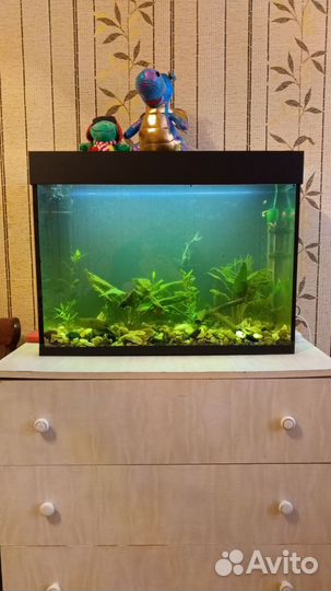 Аквариум