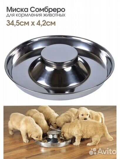 Миска сомбреро