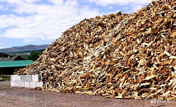 Дрова со Всеволожска