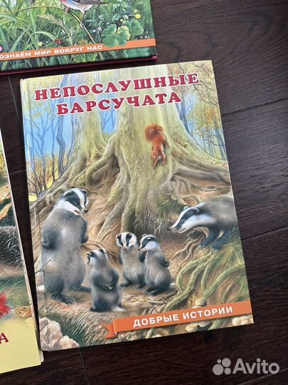 Книги для детей пакетом Приключения зайчонка
