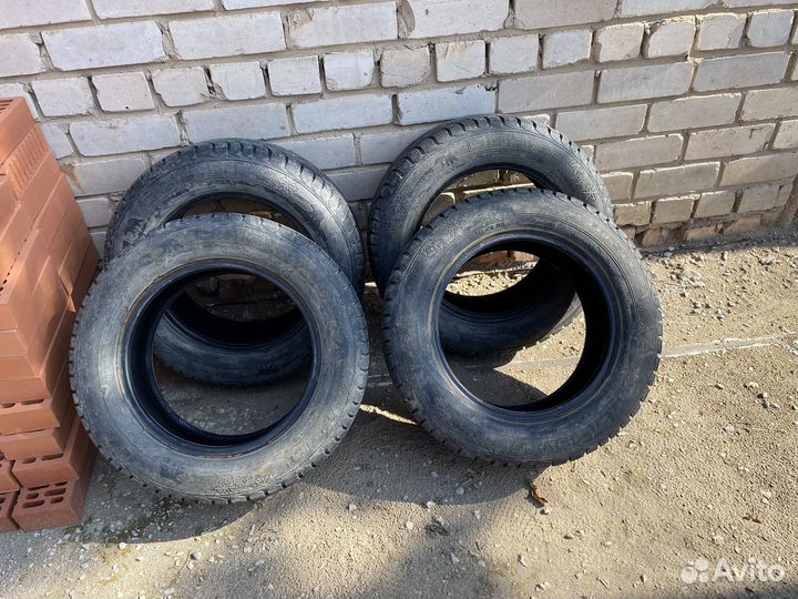 Gislaved Nord Frost 5 195/65 R15