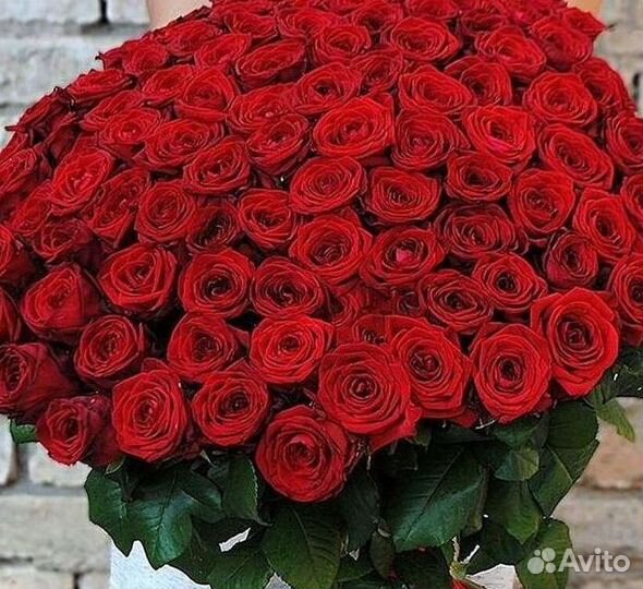 Высокие розы Гигантские розы с доставкой