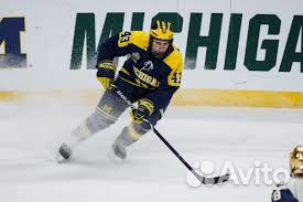 Nhl 19 PS4 Nhl 19 xbox ONE