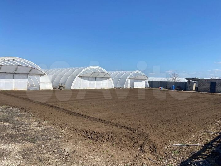 Участок 1,25 га (ИЖС)