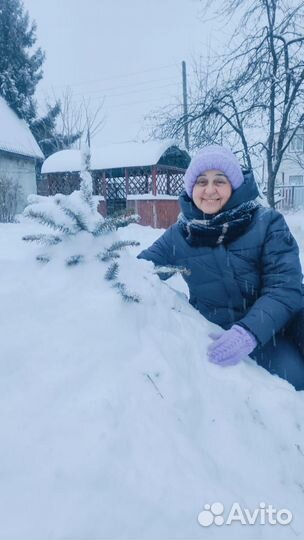 Корректор, редактор текстов