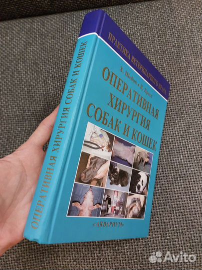 Хирургия.Анатомия.Рентген. Сергиенко, Шебиц, Надь
