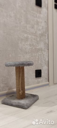 Когтеточка