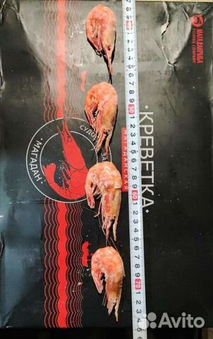 Креветка магаданская