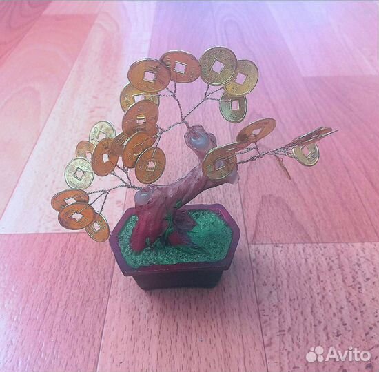 Денежное дерево