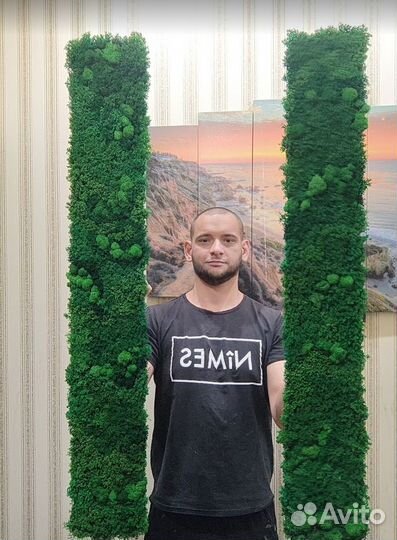 Панно из мха 25х50см для интерьера помещений декор