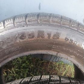 Nokian Tyres WR D4 195/65 R15