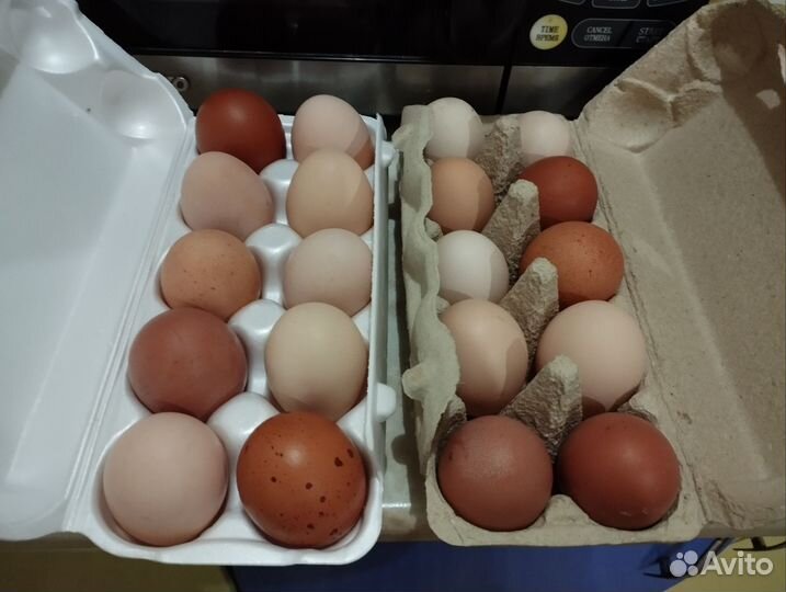 Домашние куриные яйца