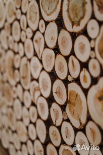 Панно из можжевельника