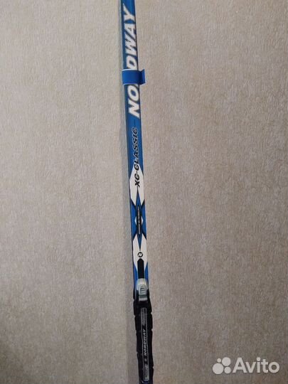 Лыжи беговые, ботинки, палочки