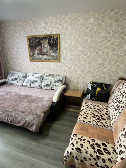 1-к. квартира, 40 м², 2/3 эт.
