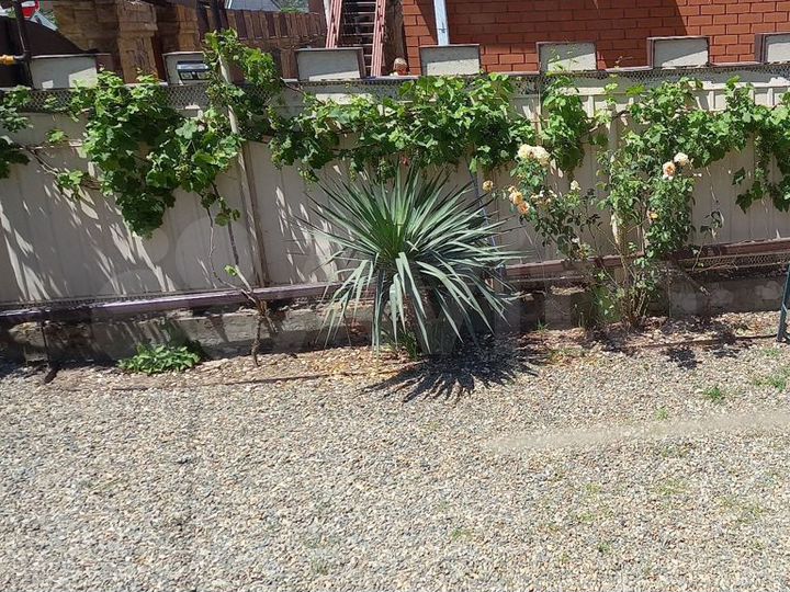 Комната 15 м² в 1-к., 1/1 эт.