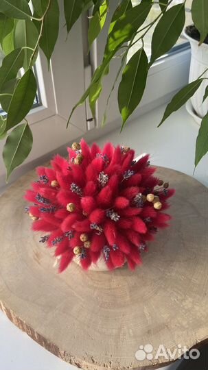 Сухоцветы, букет из сухоцветов