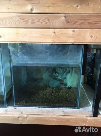 Аквариум
