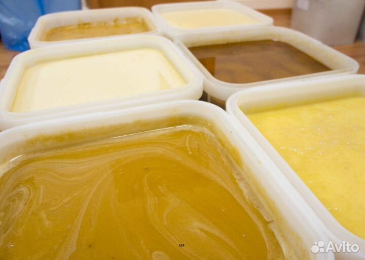 2024 Мёд натуральный алтайский опт