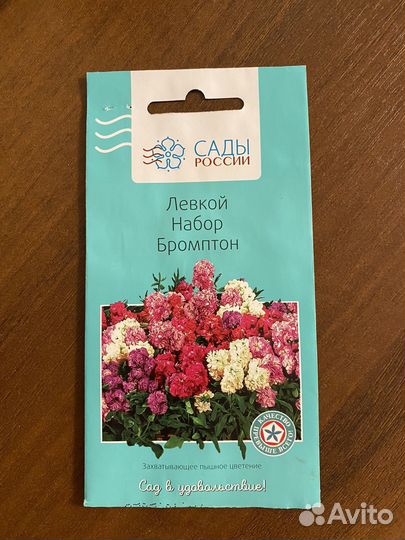 Рассада цветы Левкой