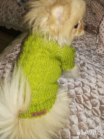 Жилетка для животных