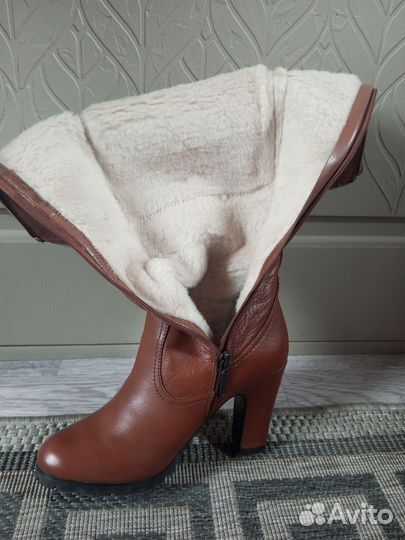 Сапоги Carlo Pazolini зимние