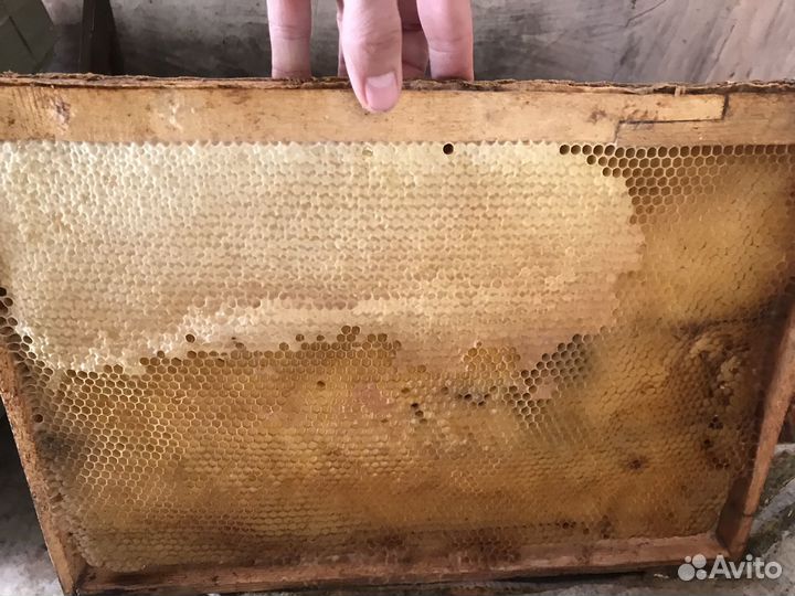 Ульи для пчел,сушь