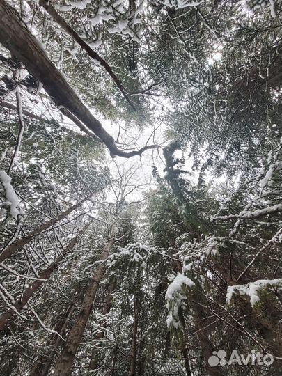 Путешествия