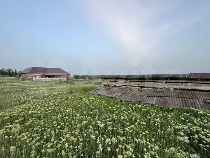 Участок 11,5 сот. (ИЖС)