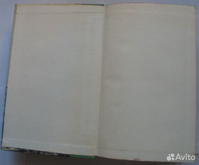 М. Е. Салтыков-Щедрин. История одного города. Госп