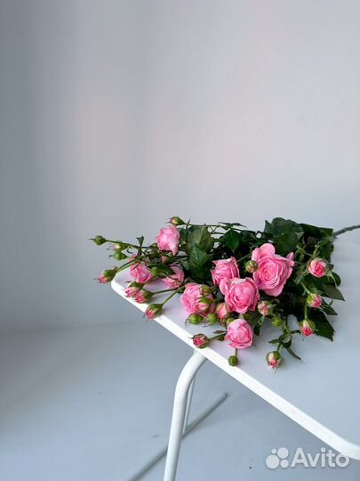 Букет из кустовых роз «Фемке»