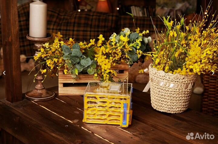 Муравьиная ферма Мегаполис