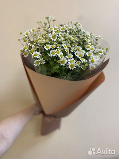 Ромашка ко дню семьи