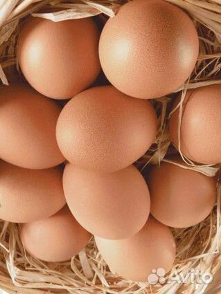 Яйца