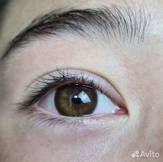 Цветные линзы DOX A 751 brown