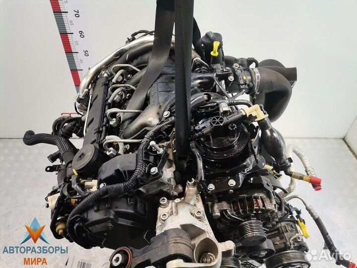 Тнвд Peugeot 407 2008 1920LP