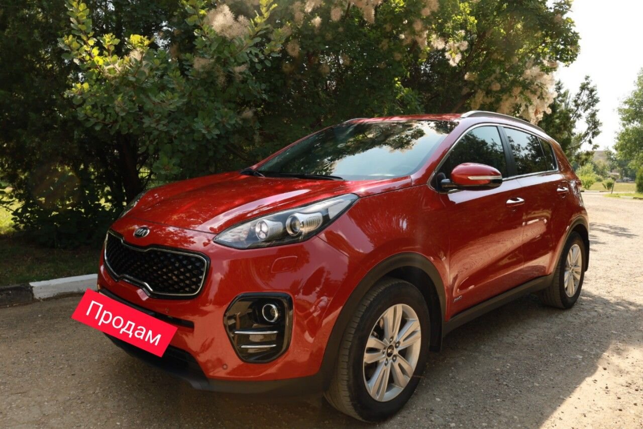 Kia Sportage: фото владельца