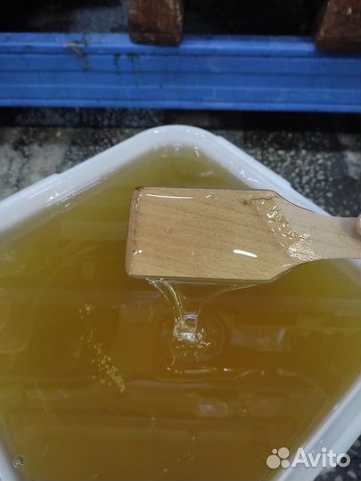 Натуральный мёд липа Качка 2023 опт