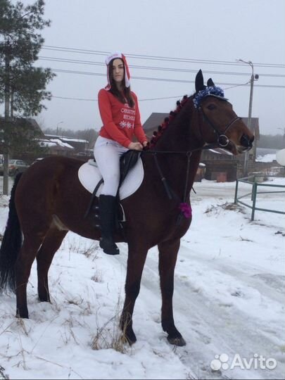 Водитель семейный, личный водитель, курьер