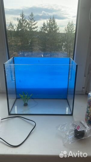 Аквариум