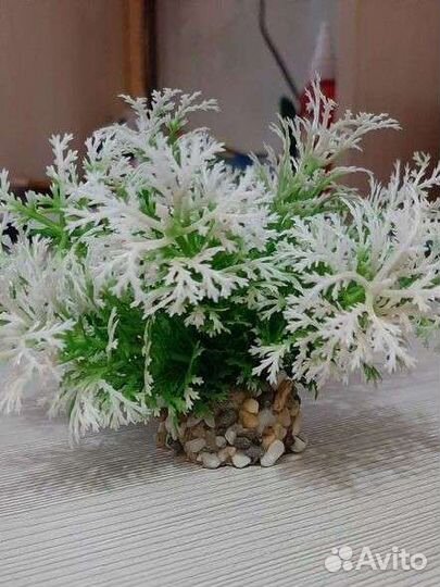 Искусственные водоросли и грунт